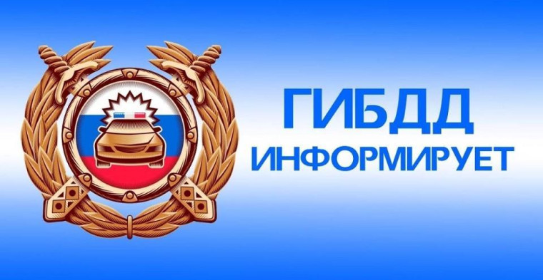 Профилактическое мероприятие «В Новый год по безопасной дороге».